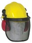 CASQUE FORESTIER